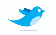 Create a Twitter Feed With Hash Tag And Cache Support