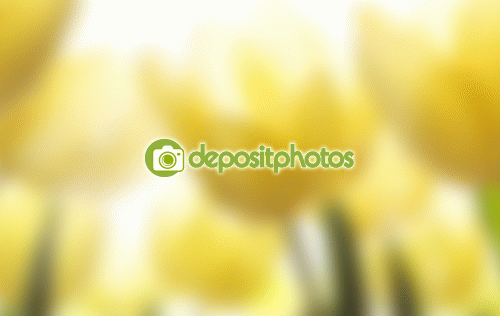 Giveaway: Win 2 Months Depositphotos Subscription