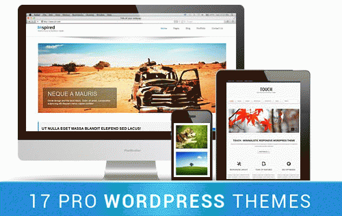 Best Deal: 17 High-Quality WordPress Themes - only $17!