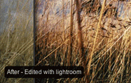 Create an Attractive Before and After Photo Effect with jQuery