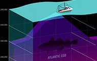 How To Design Your Own Infographics