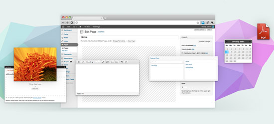 Advanced Custom Field