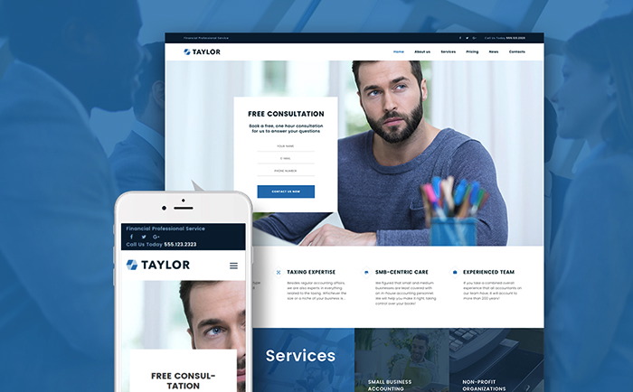 Financial Accounting WordPress Theme    