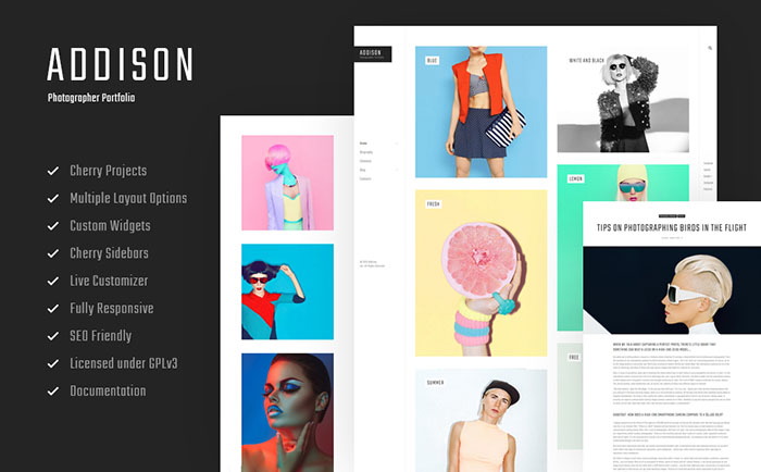 Photographer Portfolio WordPress Theme    