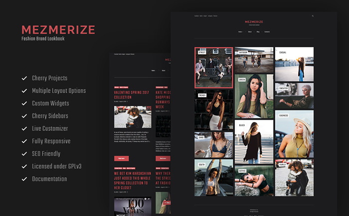 Photo Album WordPress Theme    